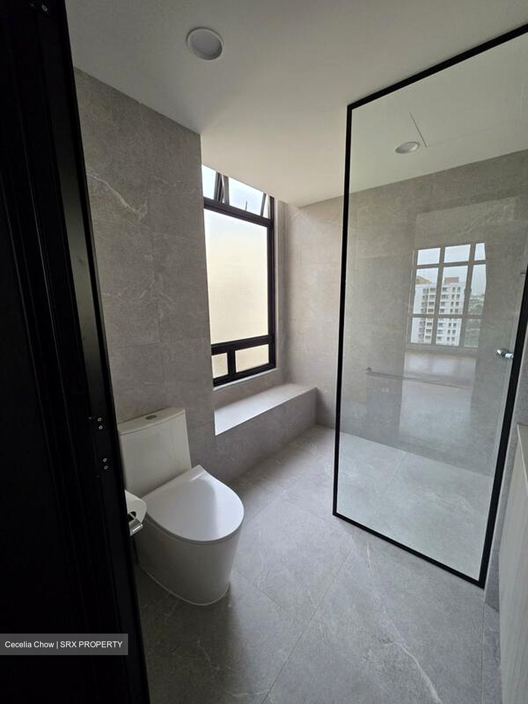 The Sterling (D21), Condominium #496721751